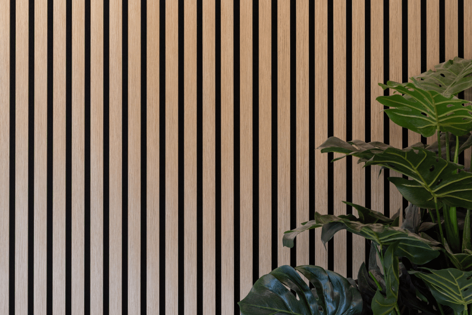 Acoustic wall panel in Ivory Oak with decorative plant