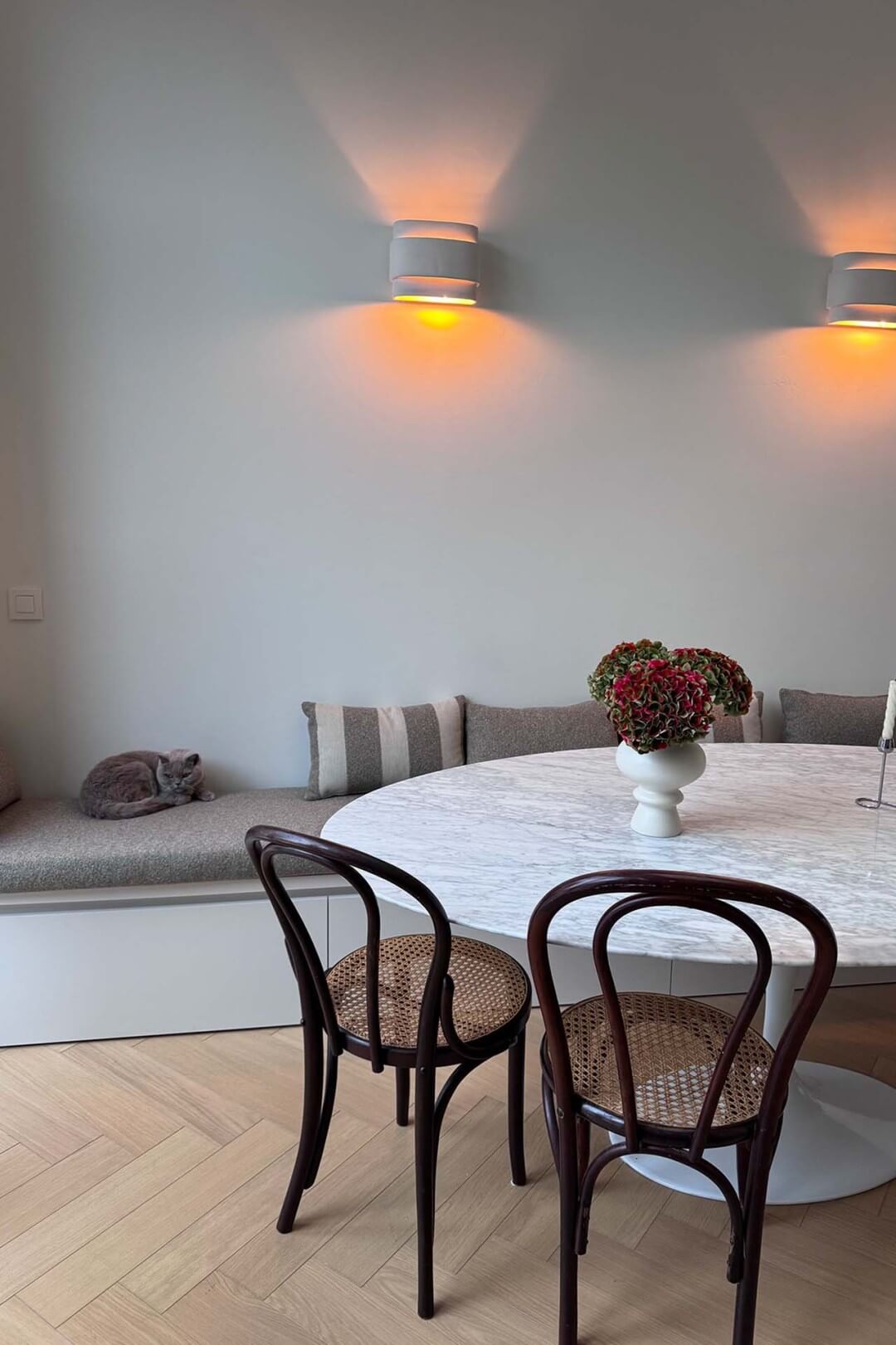 Britse korthaar ligt op de zitbank op maat in seashell met greeplijst 